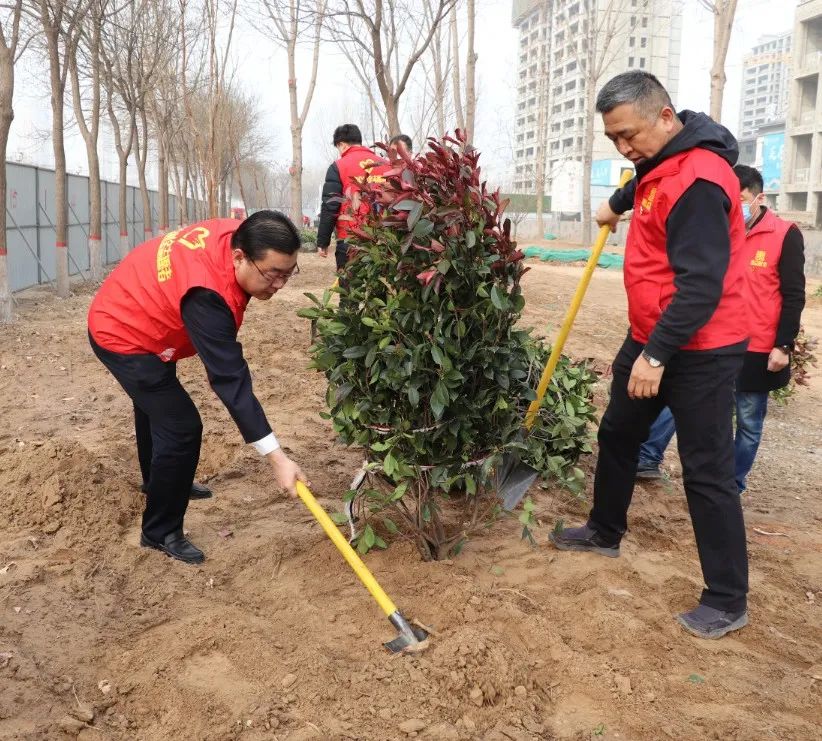 惠眾財金集團舉行“黨團共筑文明夢 植樹添綠應春風”植樹節(jié)活動(圖3)