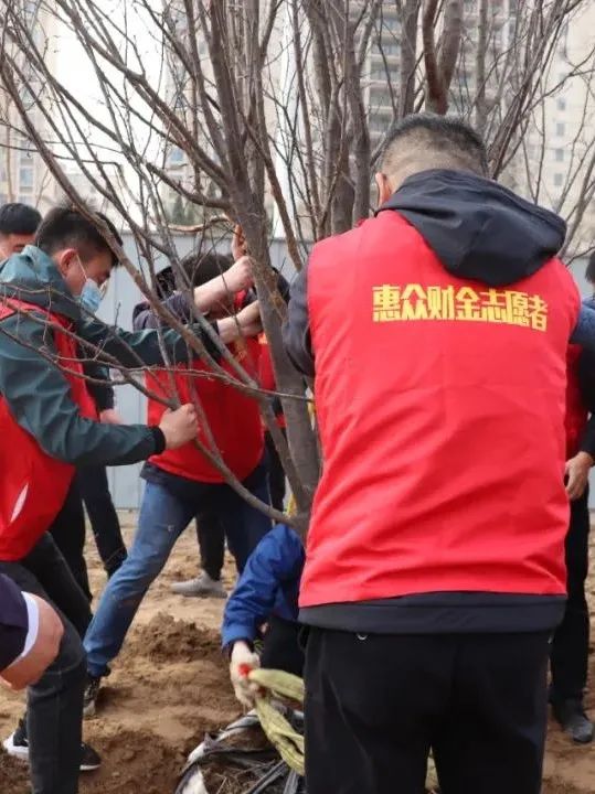 惠眾財金集團舉行“黨團共筑文明夢 植樹添綠應春風”植樹節(jié)活動(圖4)