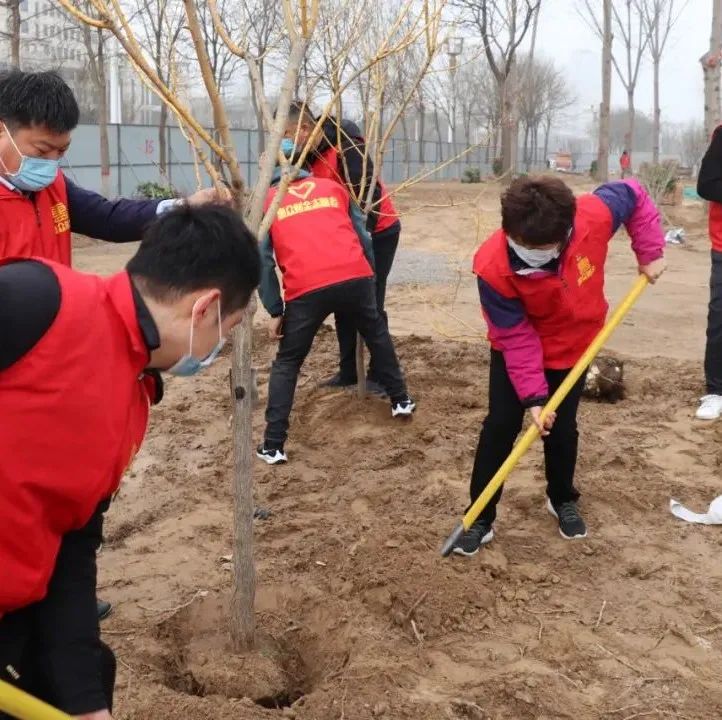 惠眾財金集團舉行“黨團共筑文明夢 植樹添綠應春風”植樹節(jié)活動(圖6)