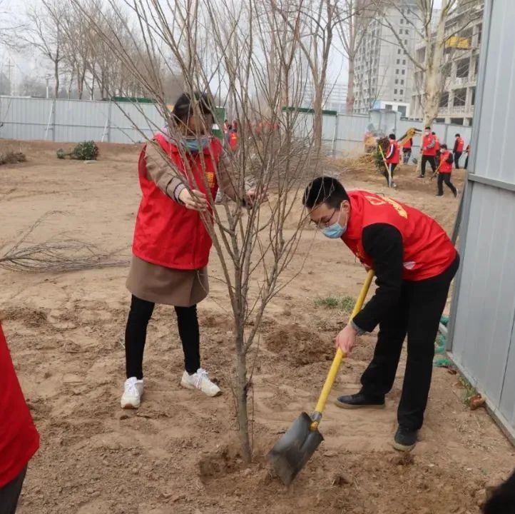 惠眾財金集團舉行“黨團共筑文明夢 植樹添綠應春風”植樹節(jié)活動(圖8)